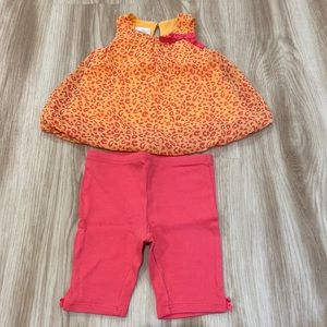 Small wonders 6-9m orange and pink cheetah top with pink leggings